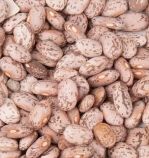 Pinto Beans